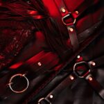 BDSM play parties represented through BDSM items.